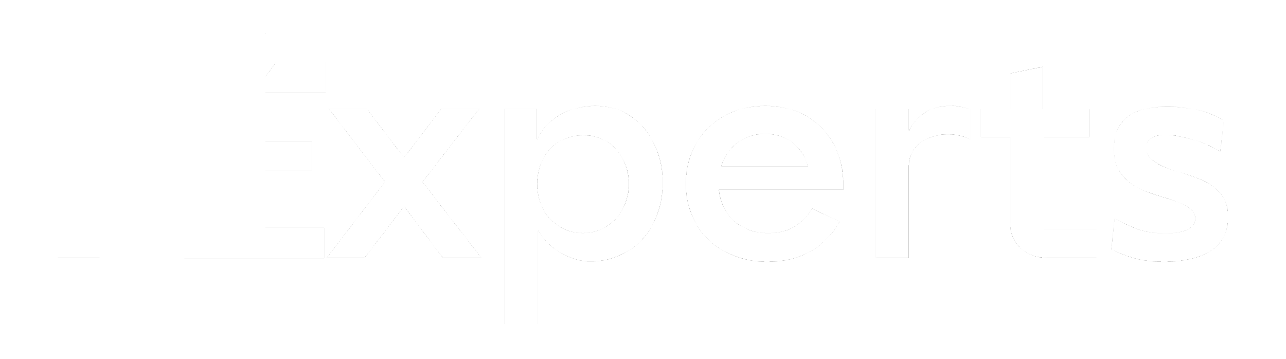Slash Experts