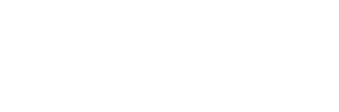 logo_google_white